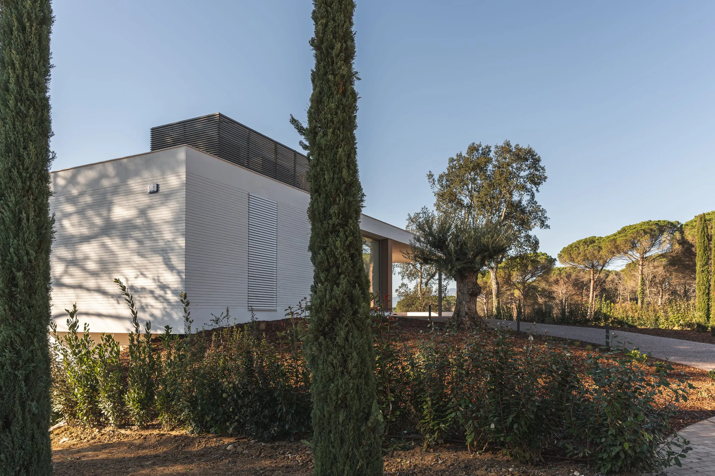 Casa moderna blanca de una planta entre cipreses y vegetación mediterránea