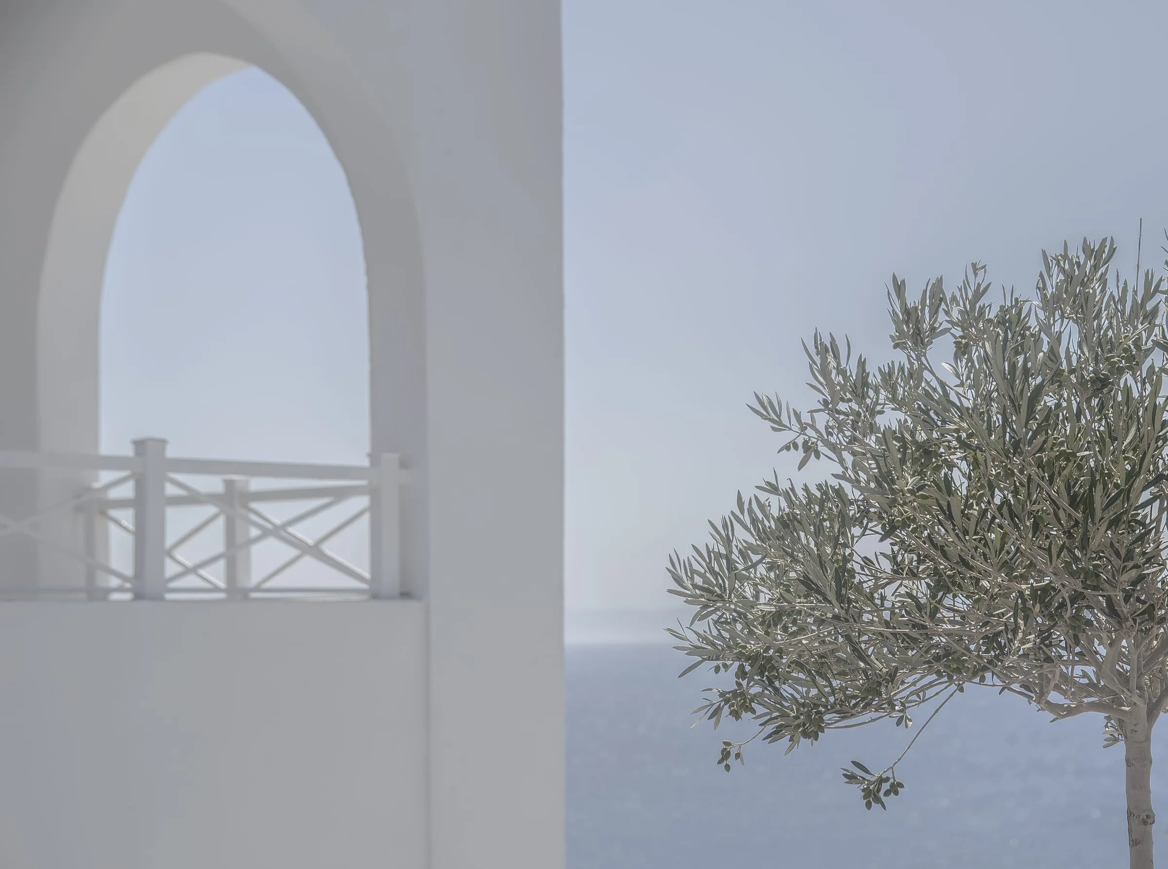 Arco blanco junto a un olivo con el mar al fondo