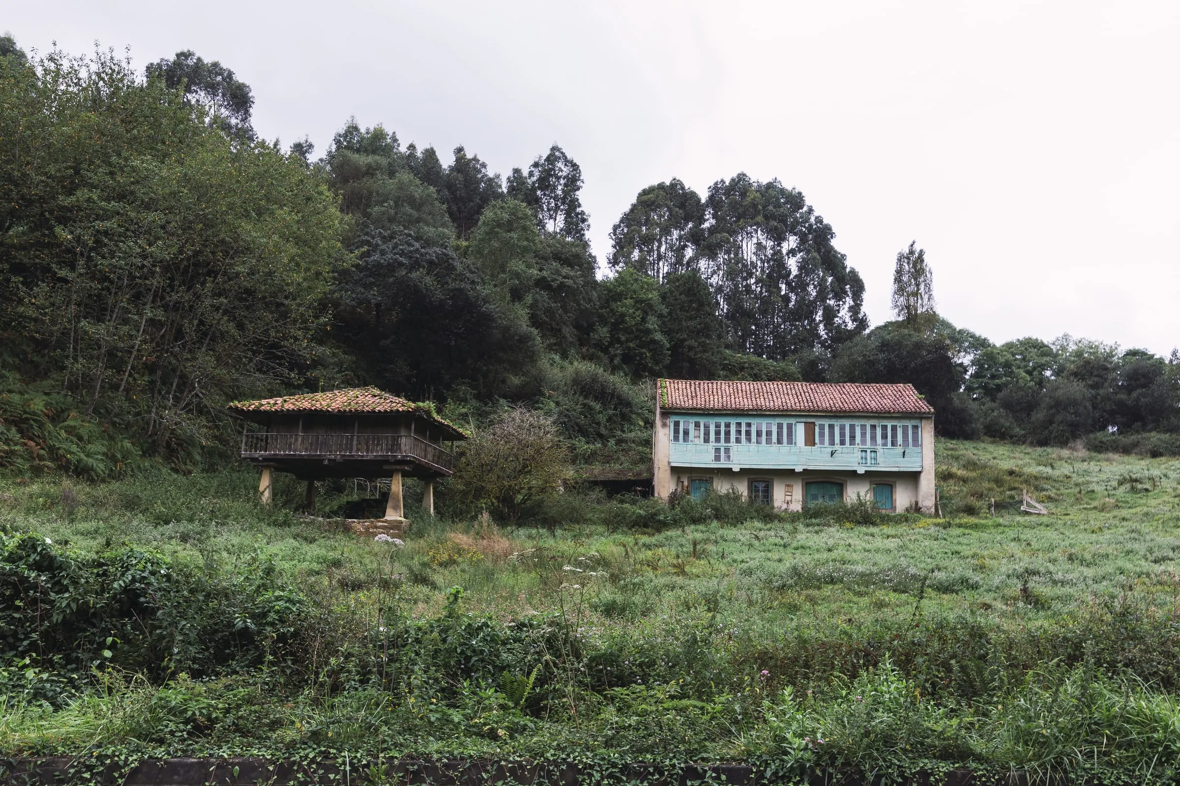Casa con galería y hórreo entre prados y bosque