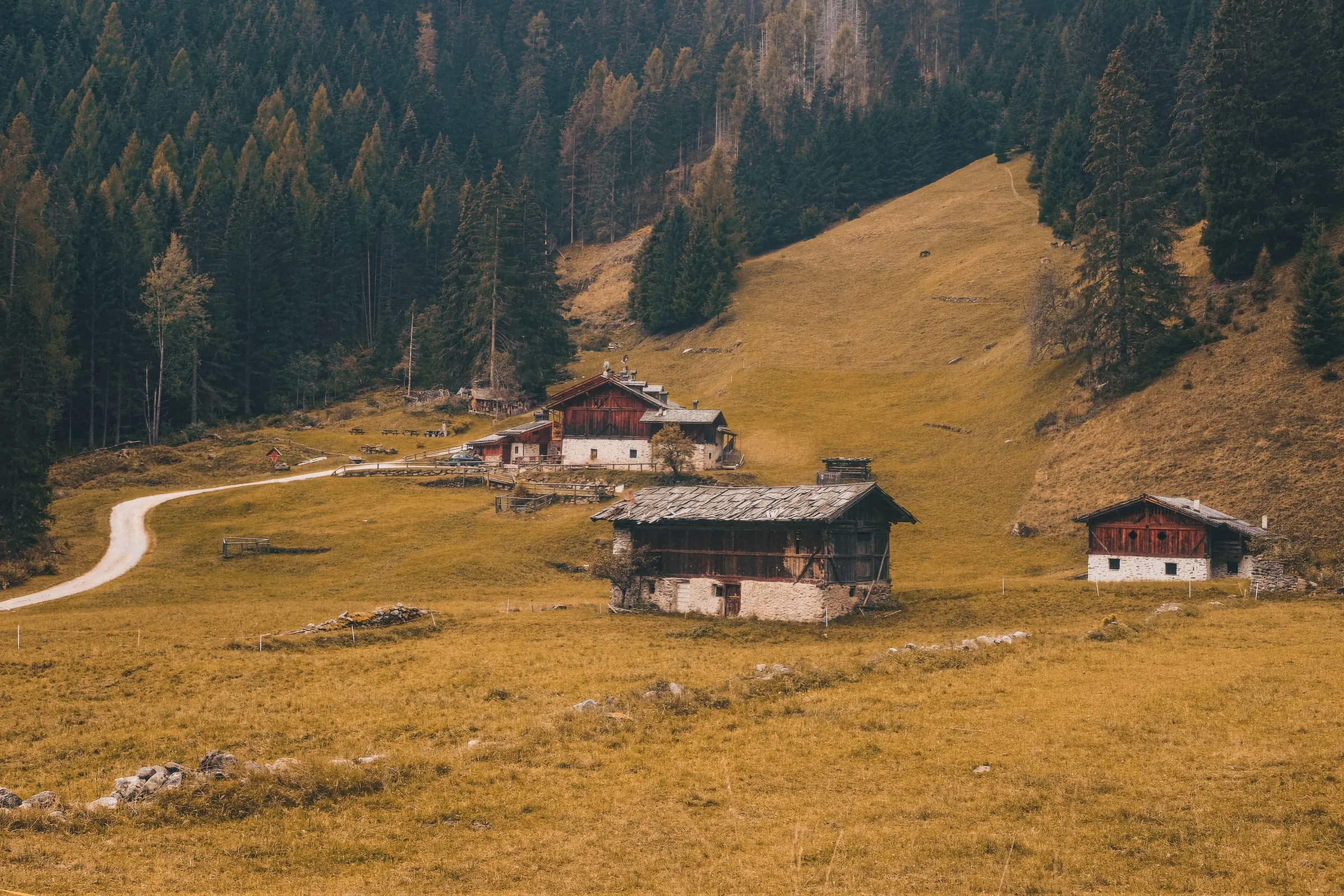 Casas de montaña en un prado de altura