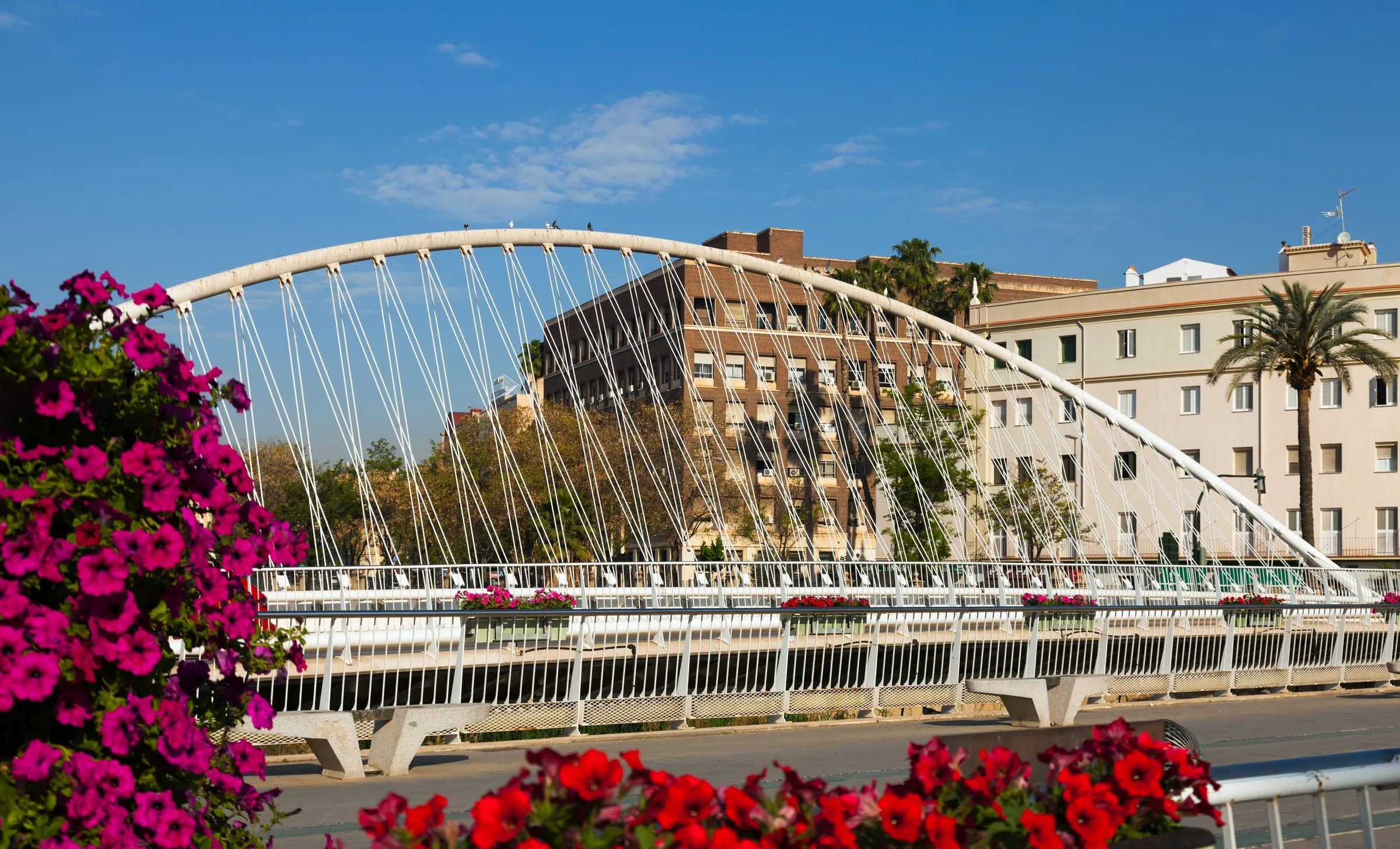 Puente sobre el río Segura en Murcia