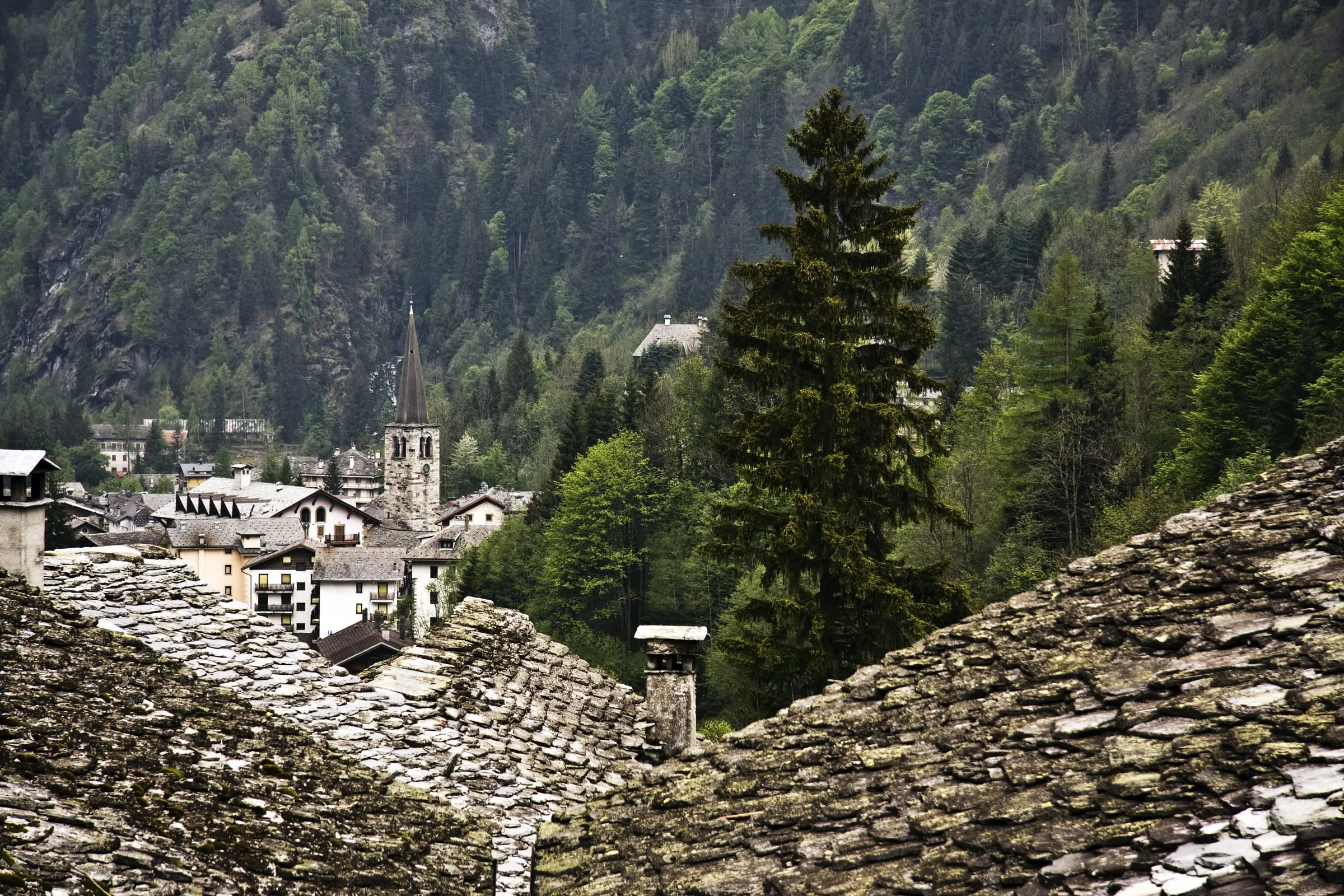Pueblo de montaña con tejados de pizarra entre bosques