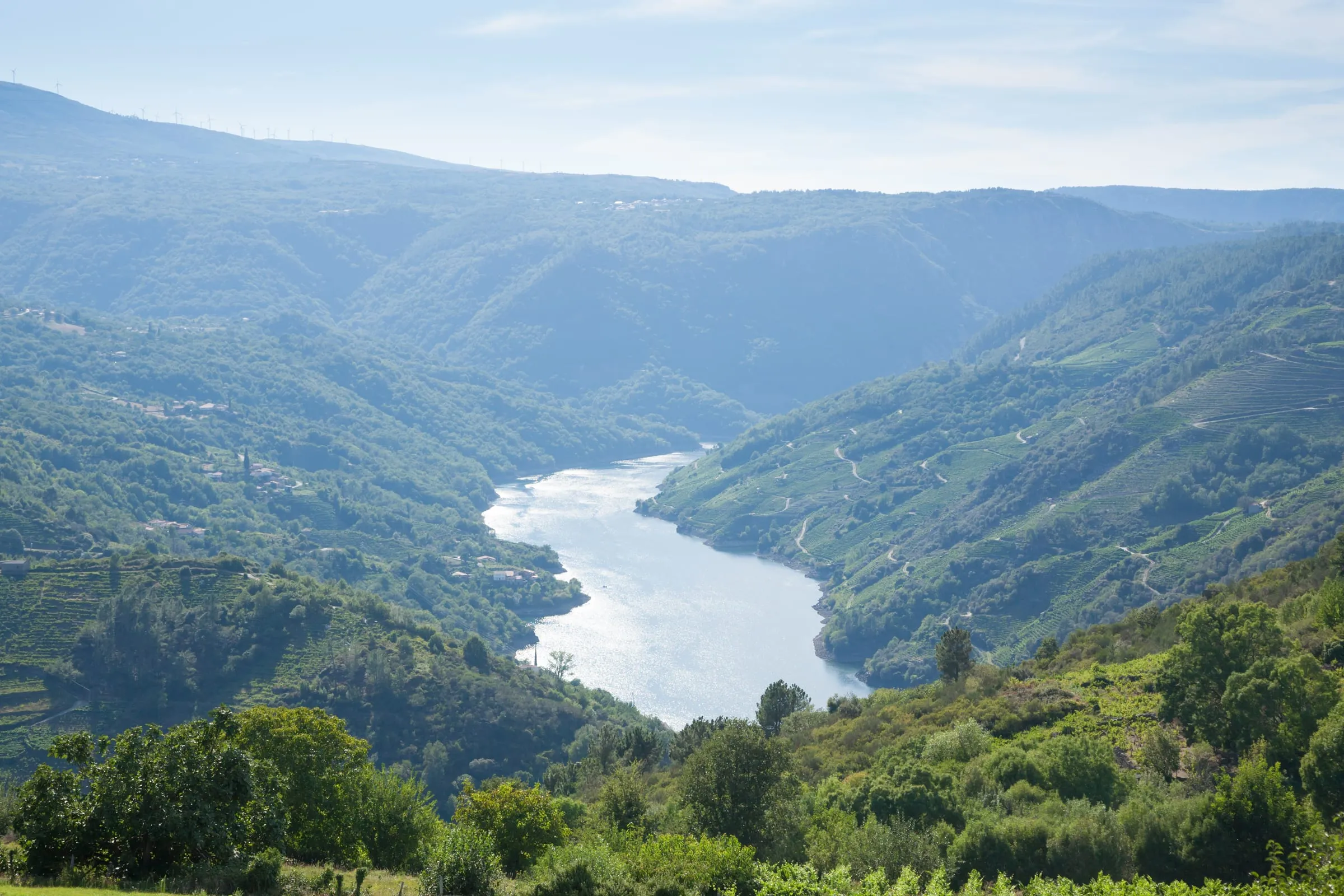 Cañón del río Sil en la Ribeira Sacra, Galicia