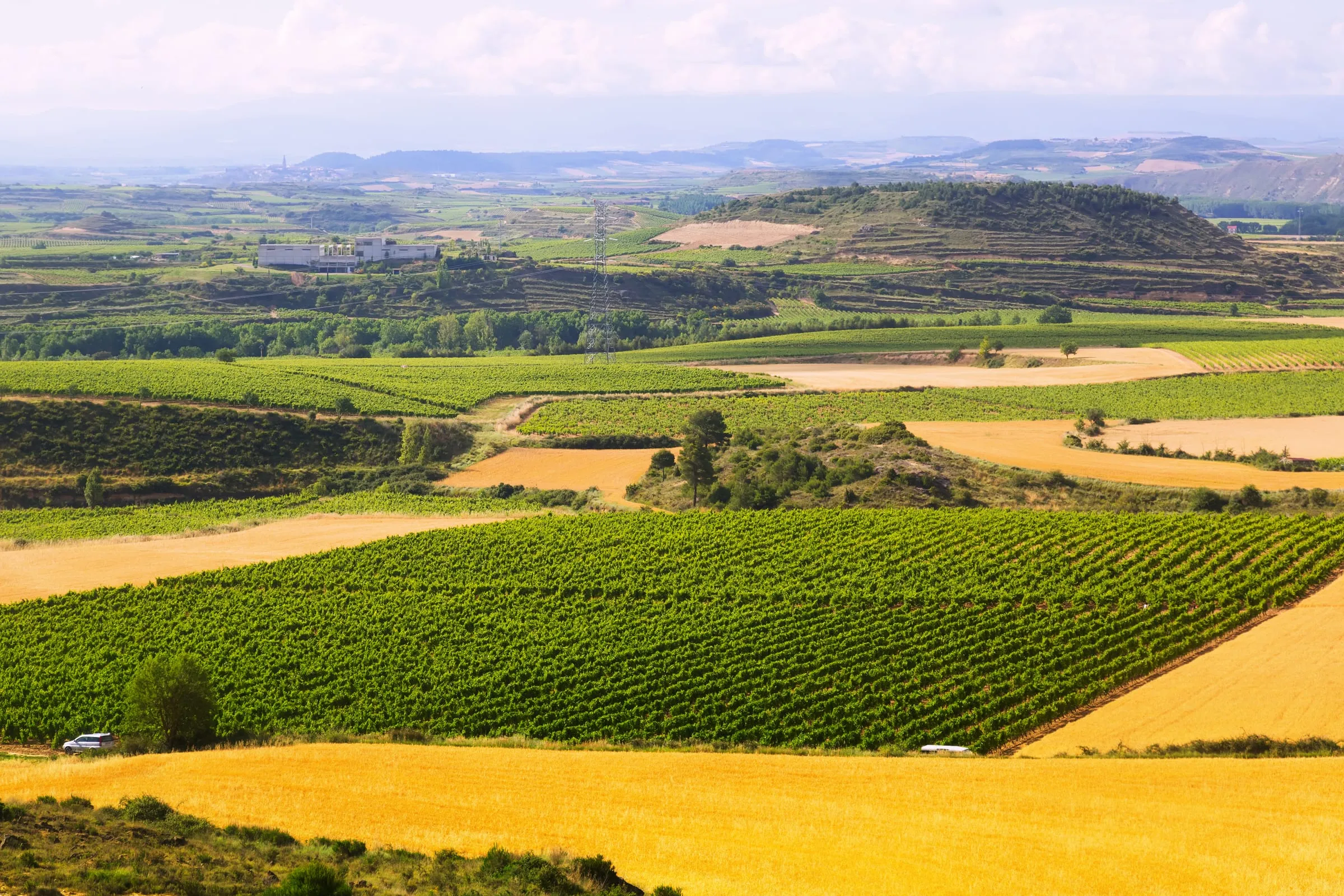 Viñedos y campos de cultivo cerca de Haro, en La Rioja